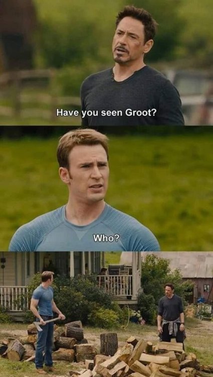 groot.jpg