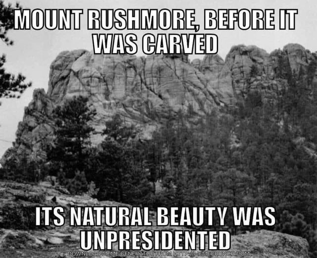 Rushmore.jpg